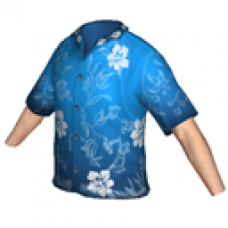 Hawaiian Shirt